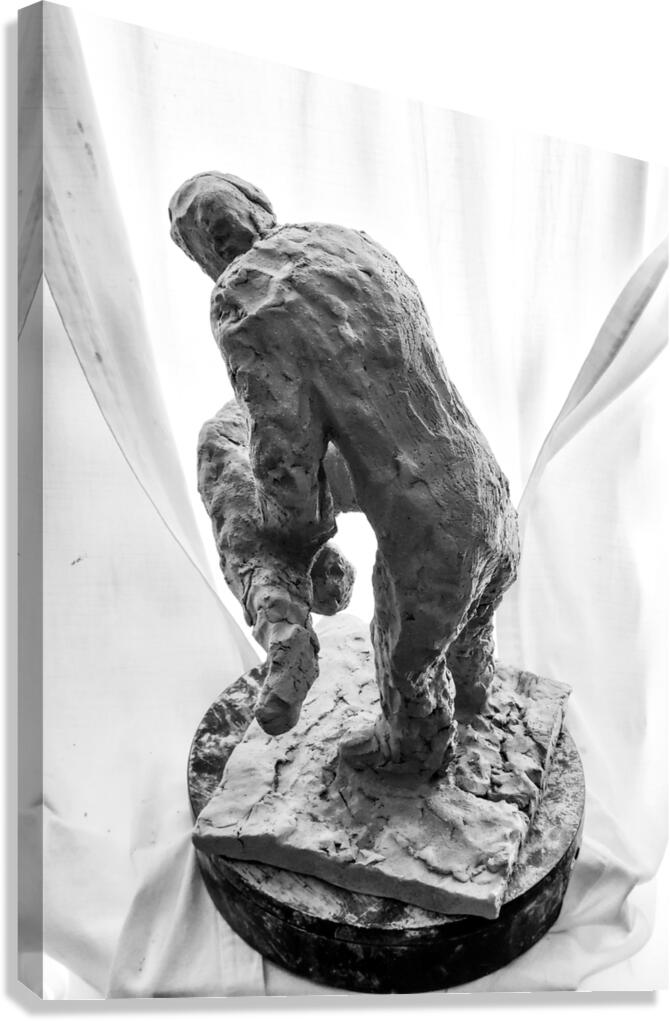 PSX 20250825 120040 Canvas Print