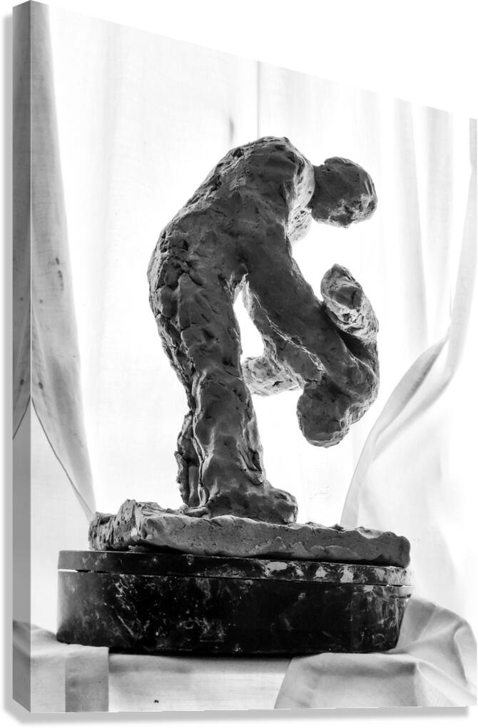 PSX 20250825 121403 Canvas Print