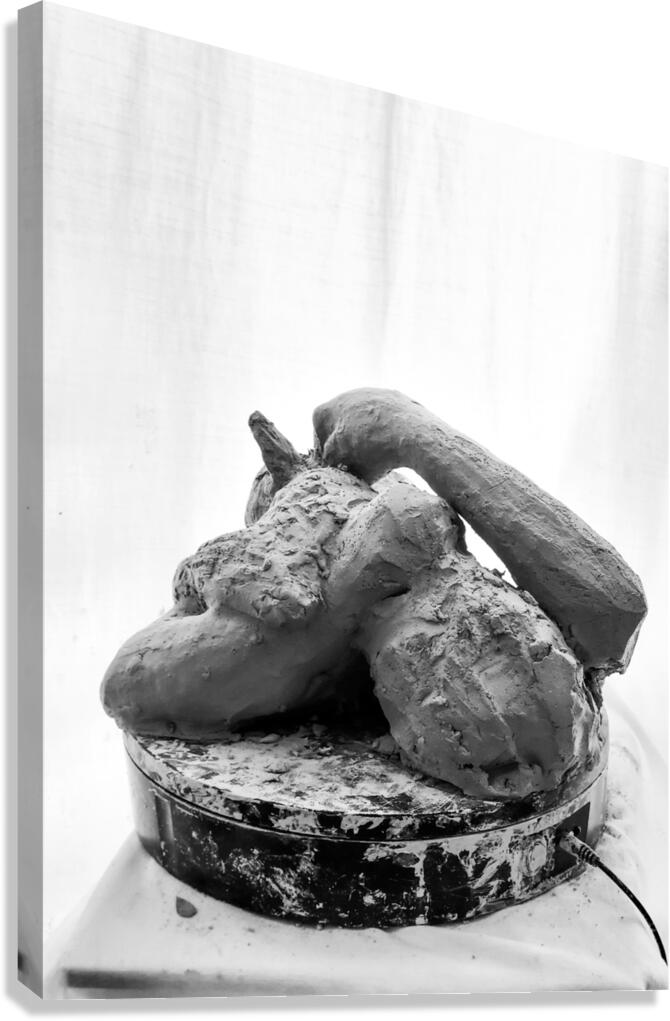 PSX 20250816 122209 Canvas Print