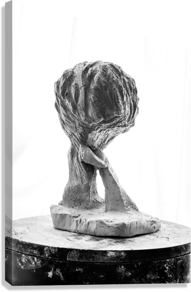 PSX 20250821 144301 Canvas Print