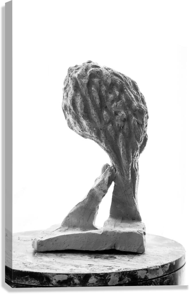 PSX 20250821 144840 Canvas Print