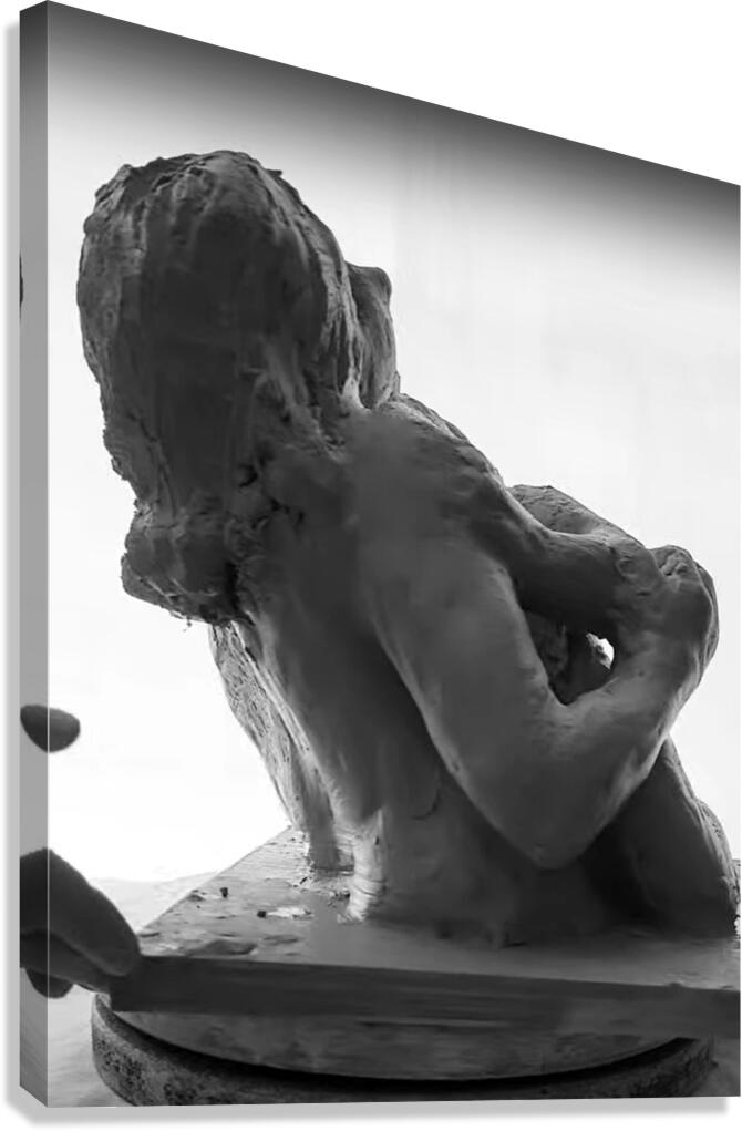 Alouette - 1 Canvas Print