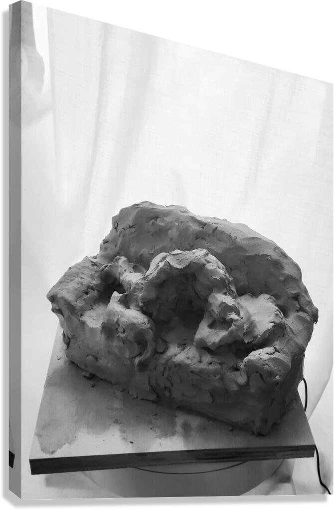 Quiet Mood --- 20251029 074946 2 Canvas Print