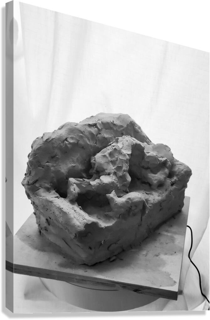 Quiet Mood --- 20251029 074930 2 Canvas Print