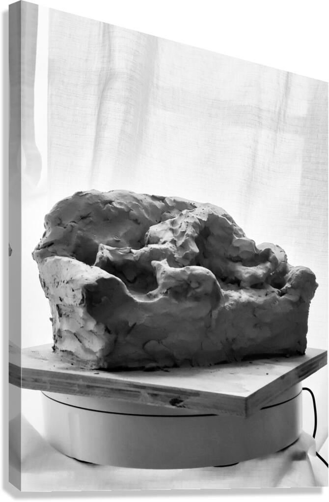 Quiet Mood --- 20251029 075144 2 Canvas Print