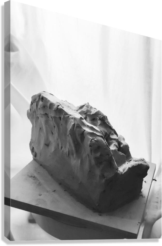 Quiet Mood --- image Canvas Print