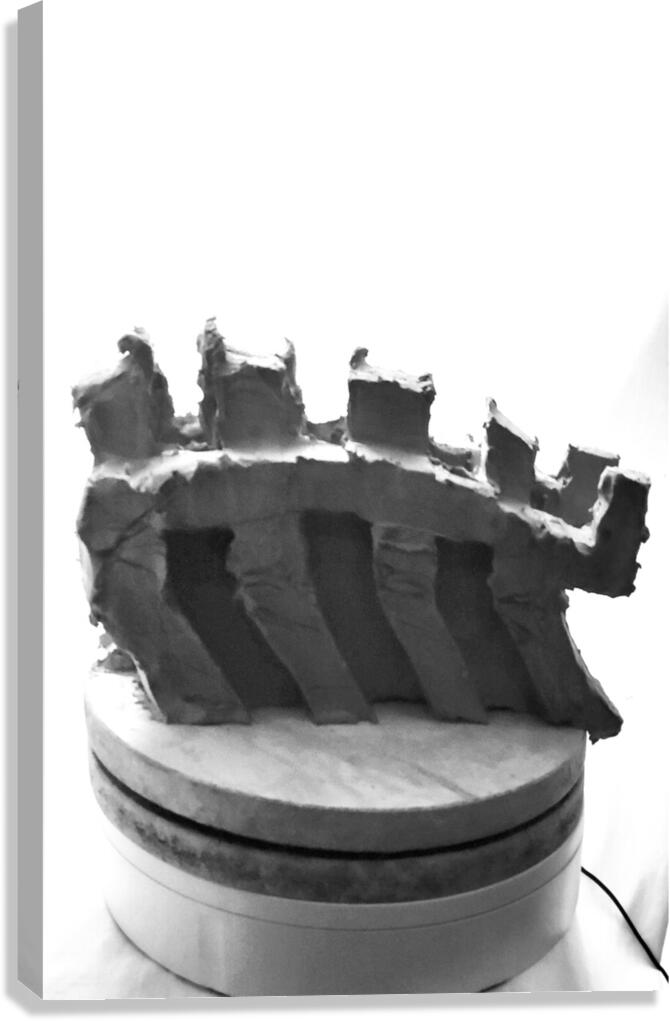 Selva Oscura --- 20251101 224921 2 Canvas Print