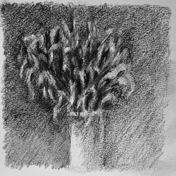 20230716 231718 2   Copy