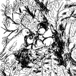 20240125 205643 3   Copy