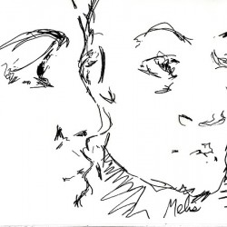 20241214 234337 2   Beginning of 8th batch