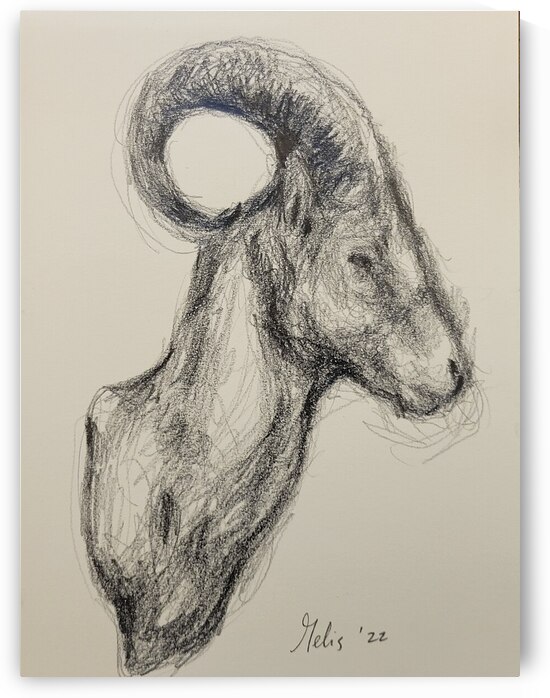 20220707 112037 by Marc Melis