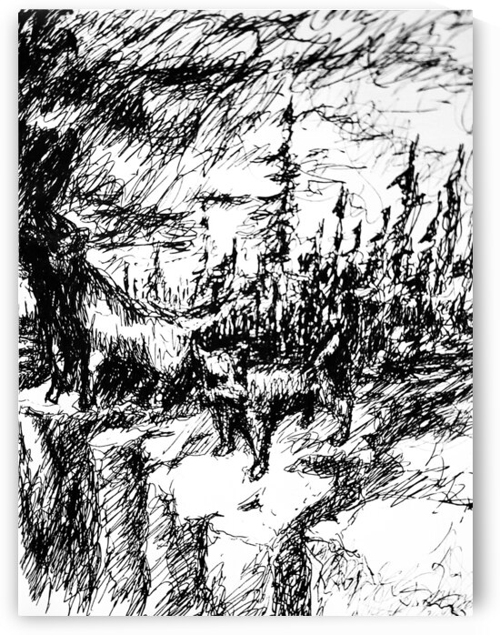 20230716 231807 2   Copy by Marc Melis