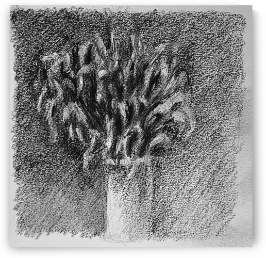 20230716 231718 2   Copy by Marc Melis