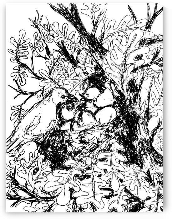 20240125 205643 3   Copy by Marc Melis