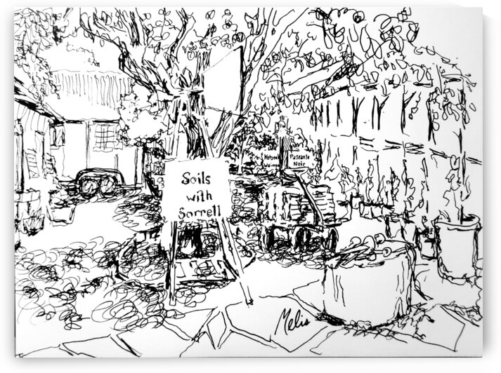 20240511 202804 3 by Marc Melis