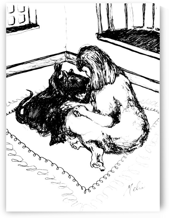 20240315 012016 2 by Marc Melis