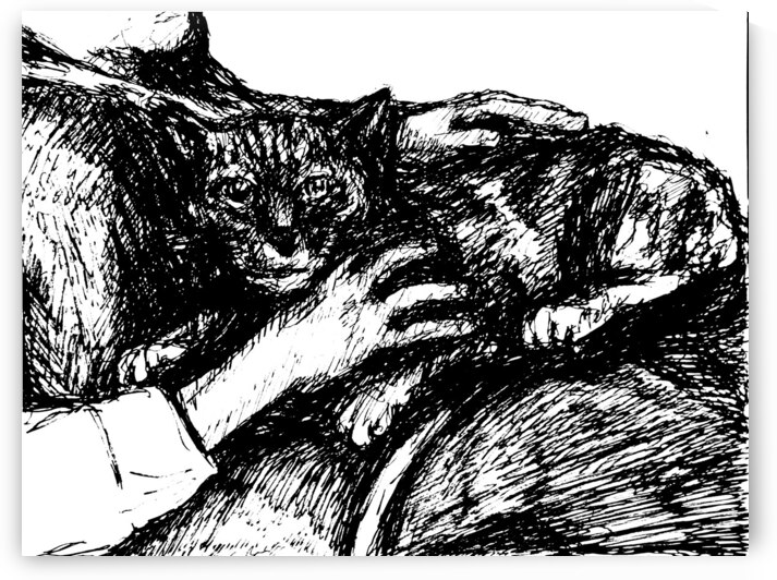 20240307 210517 3 by Marc Melis