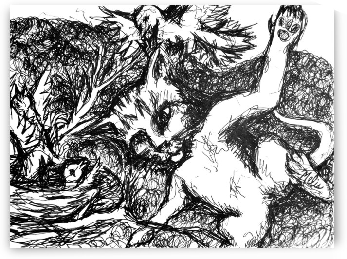 20240331 023552 by Marc Melis