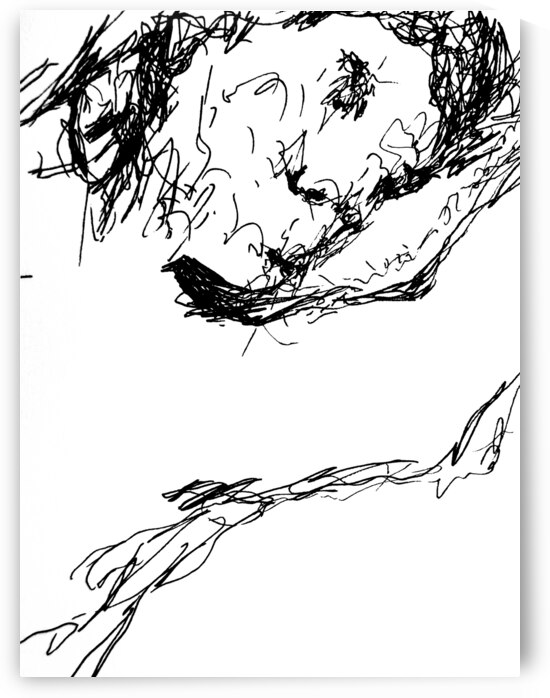 PSX 20241220 032723 by Marc Melis