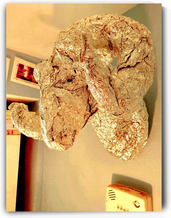 20220225 090824 by Marc Melis