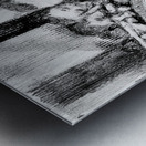 20220618 191731 4 Metal print