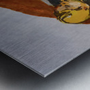 PSX 20240722 221954   Copy Metal print