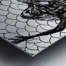 PSX 20240722 180818 Metal print