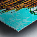 Marc Melis 2 13 24 254   20240213   AdobeR   Copy Metal print