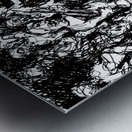 20240328 001341 2 Metal print