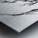 20240602 153257 3 Metal print