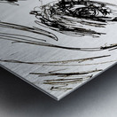 PSX 20240914 230006 Metal print