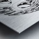 20230702 233712 4 Metal print