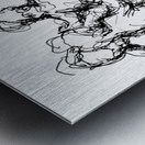 PSX 20241128 004551 Metal print