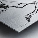  Temporary PSX 20250521 014940 Metal print