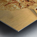 20220225 090824 Metal print