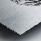 PSX 20250821 151057 Metal print