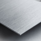 Beloved Companion 2 - 3 Metal print