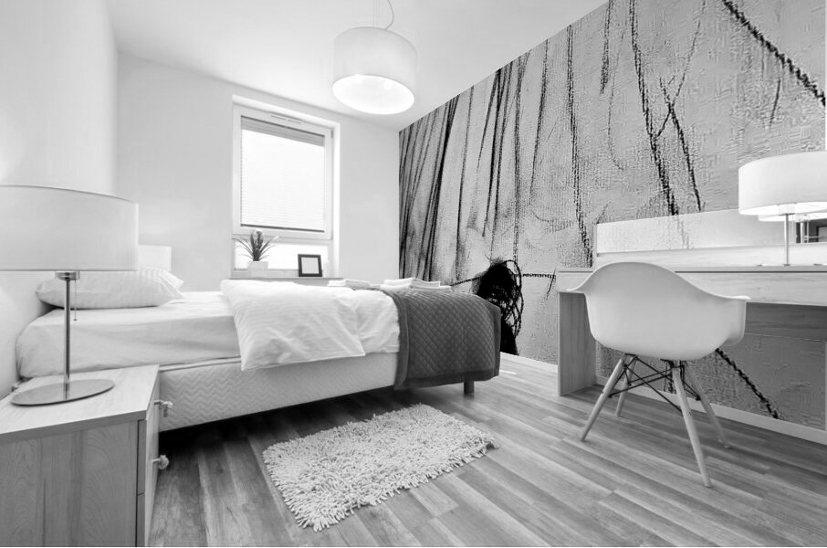 PSX 20240722 225238 Mural print