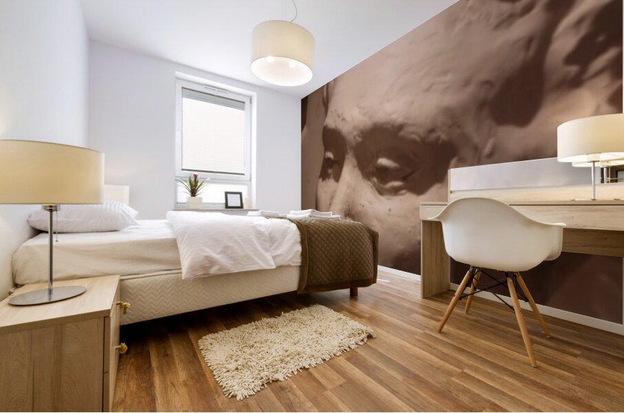 Screenshot 20220521 160006 Gallery EDIT Mural print