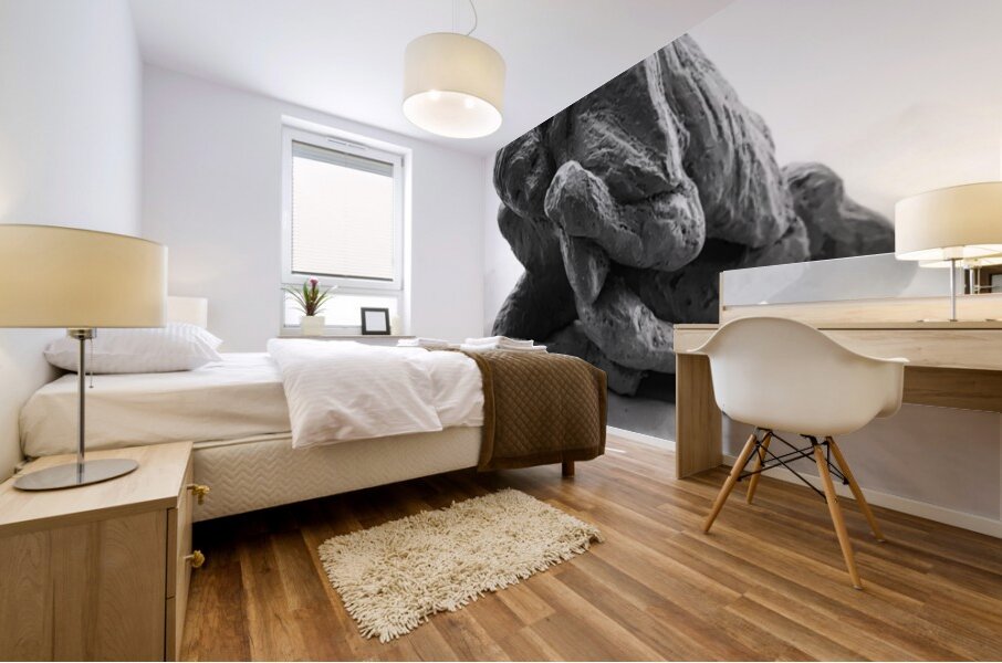 PSX 20241207 113142 Mural print