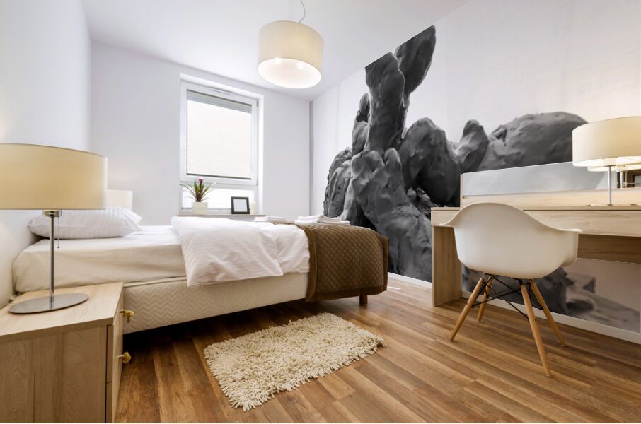 PSX 20250710 183741 Mural print