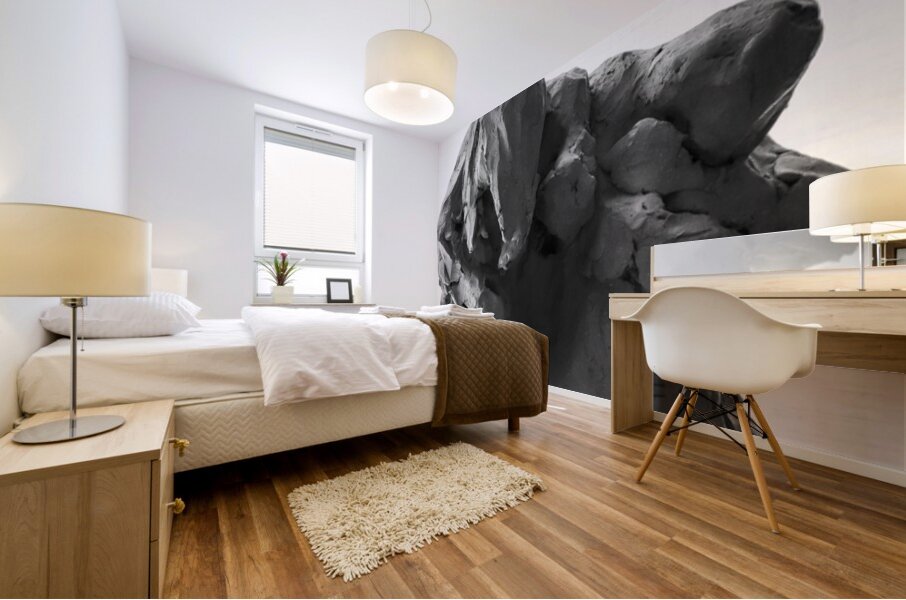 PSX 20250620 164025 Mural print