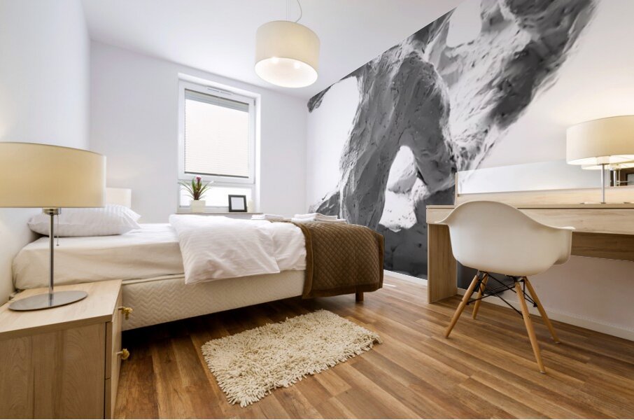 PSX 20250622 091714 Mural print