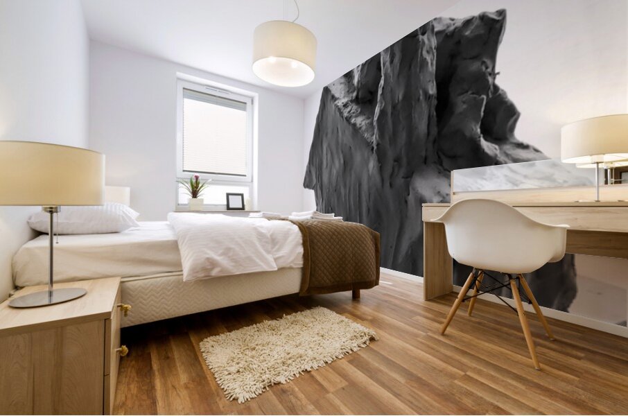 PSX 20250706 204433 Mural print