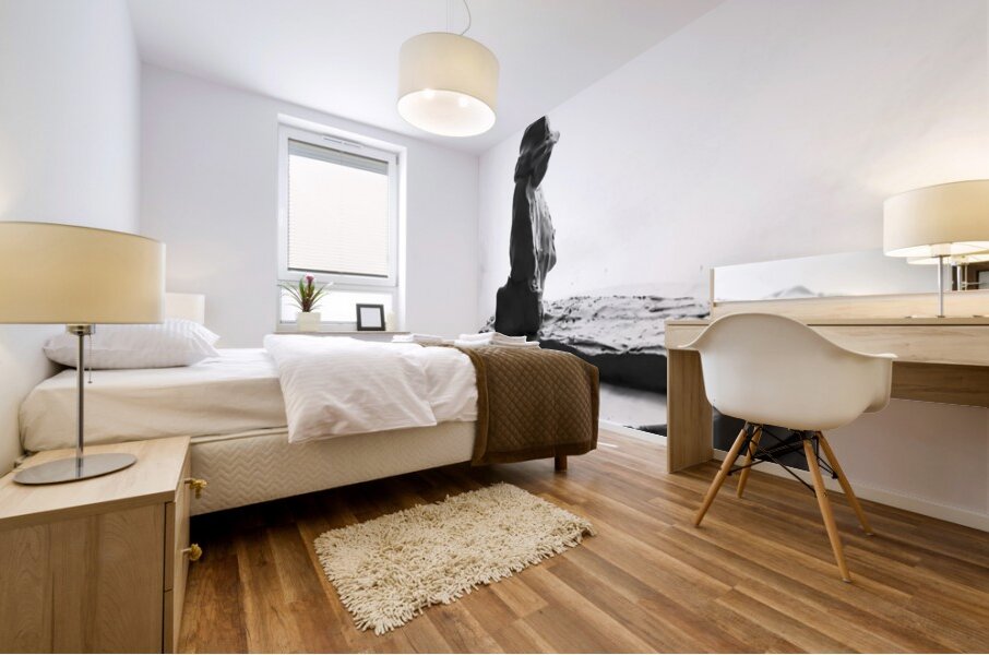 PSX 20250626 001640 Mural print