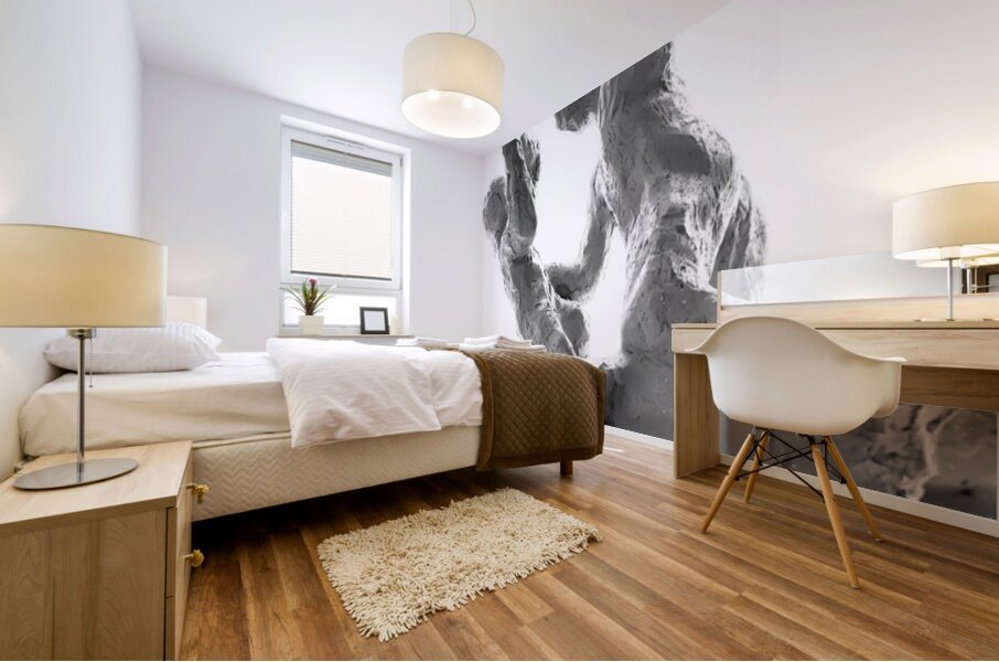 PSX 20250622 090031 Mural print