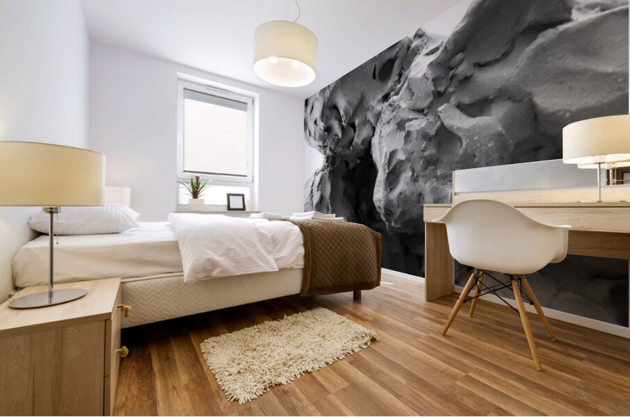 Beloved Companion 1 --- PSX 20250808 175342 Mural print