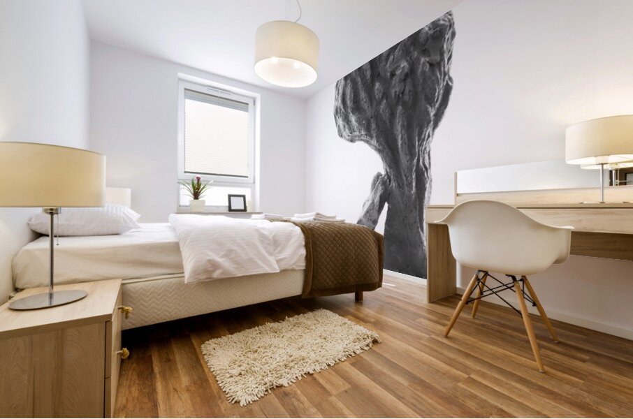 PSX 20250821 144840 Mural print