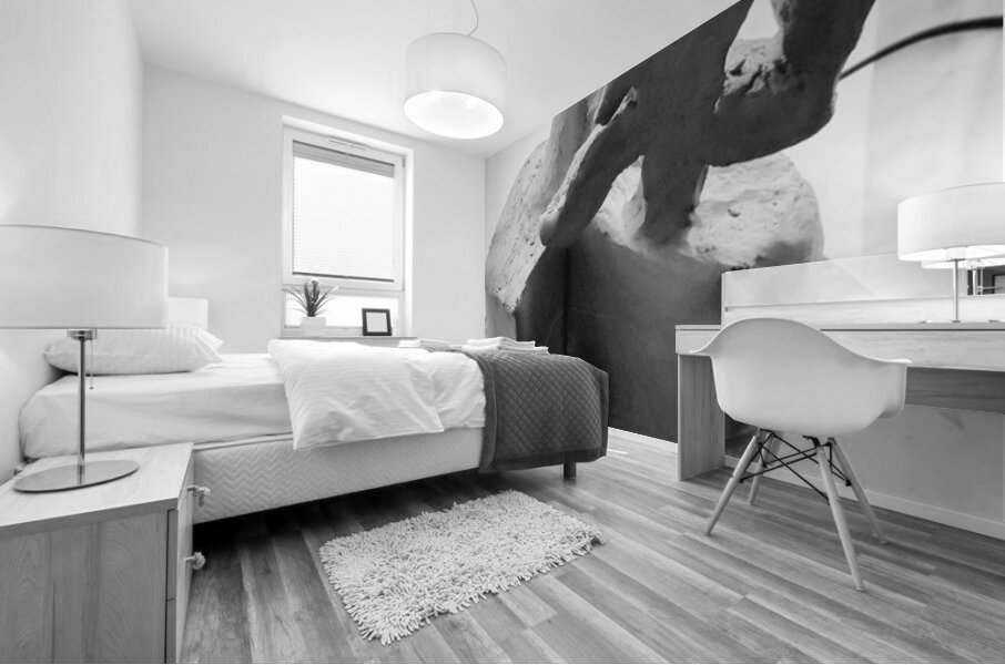 Fools Leap --- 20250915 232324 2 Mural print