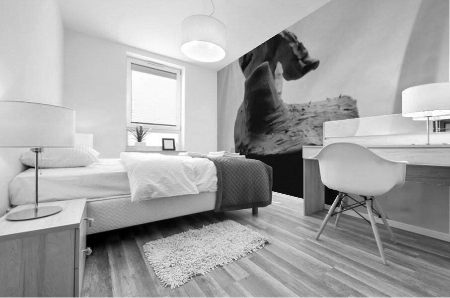 Fools Leap --- 20250915 232258 2 Mural print